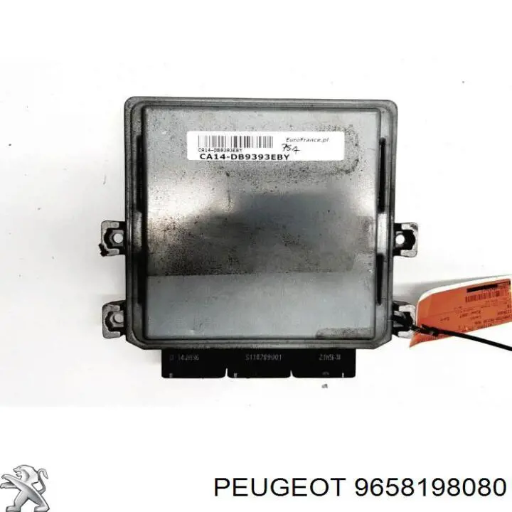 9658198080 Peugeot/Citroen 