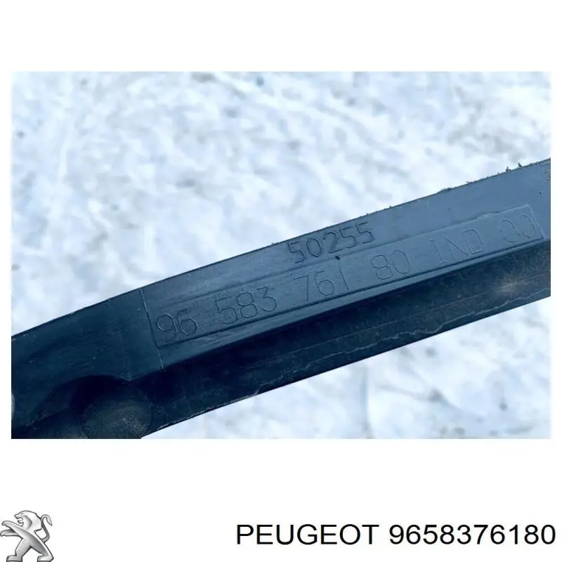  9658376180 Peugeot/Citroen