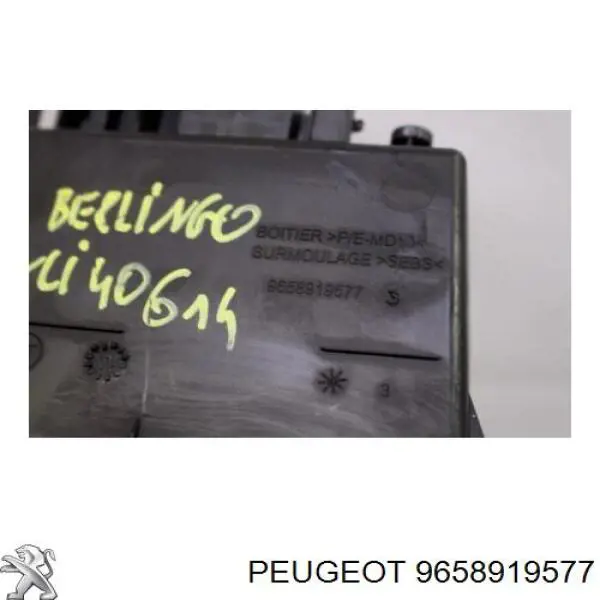  9658919577 Peugeot/Citroen