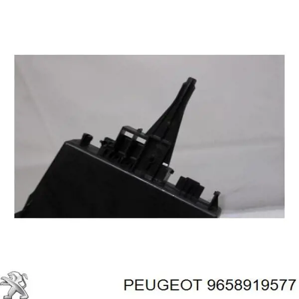9658919577 Peugeot/Citroen 