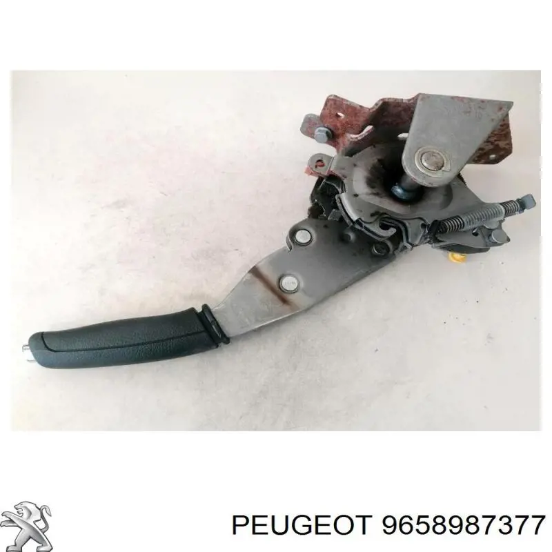 9658987377 Peugeot/Citroen 