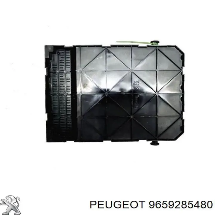 9659285480 Peugeot/Citroen 