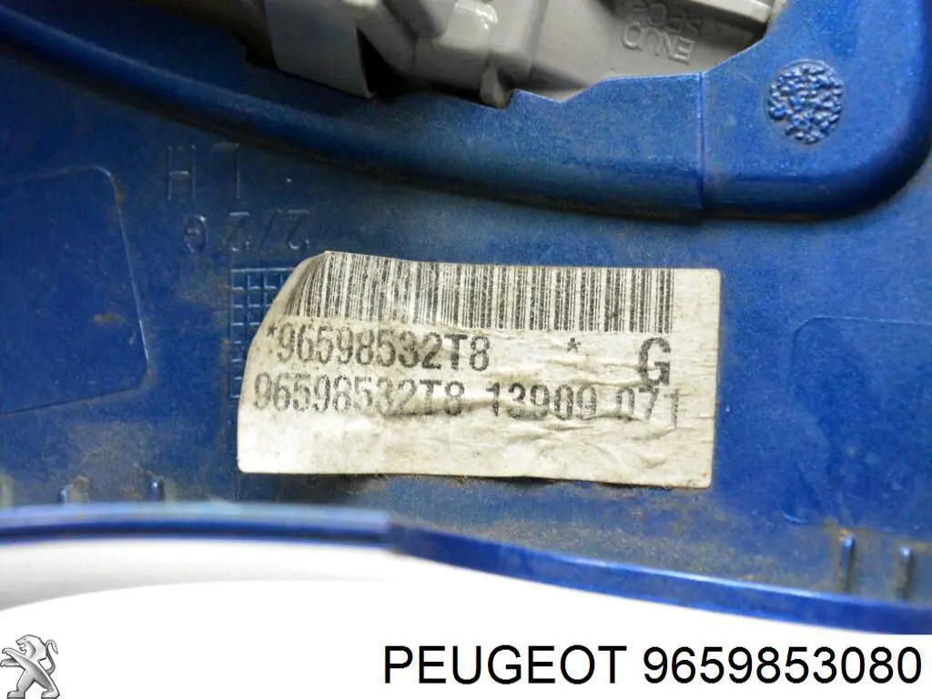 9659853080 Peugeot/Citroen 