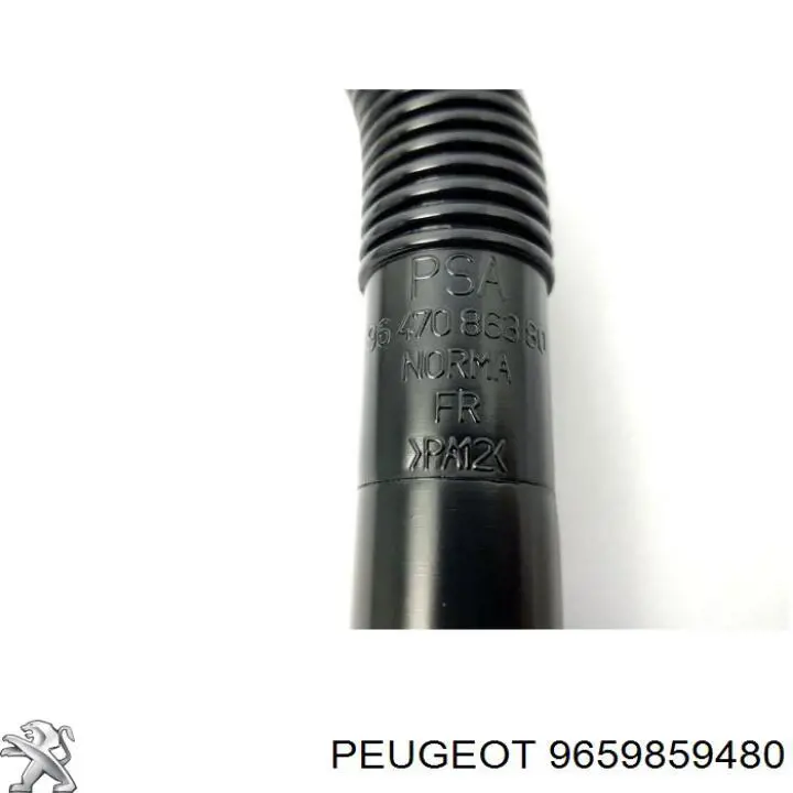 9659859480 Peugeot/Citroen 