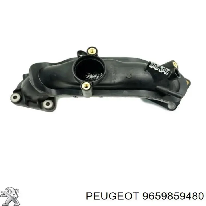 9659859480 Peugeot/Citroen