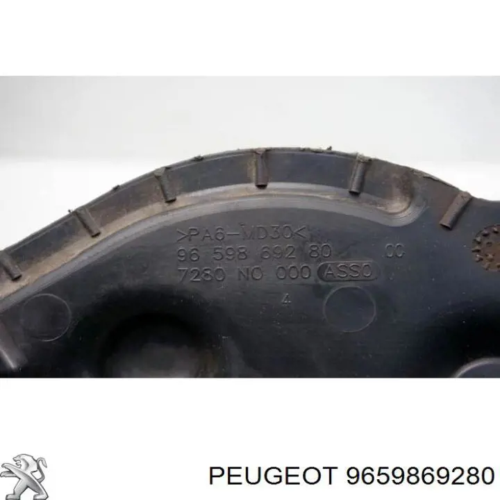9659869280 Peugeot/Citroen 
