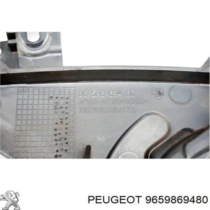 Купити 9659869480 Peugeot/Citroen 