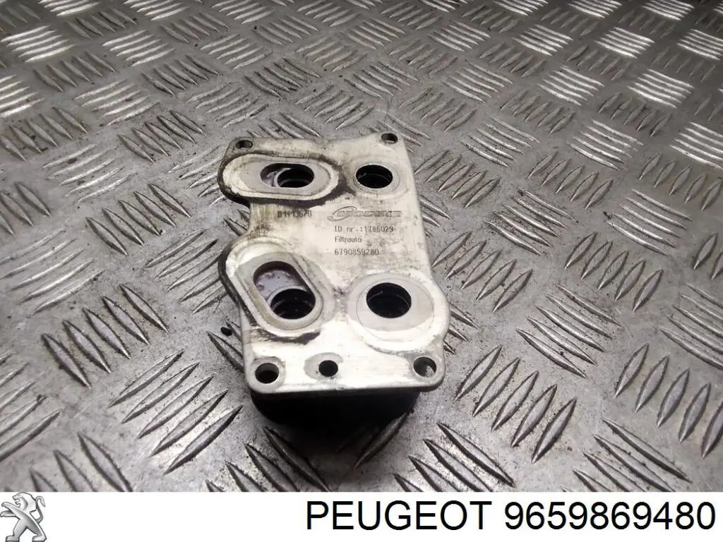 9659869480 Peugeot/Citroen 