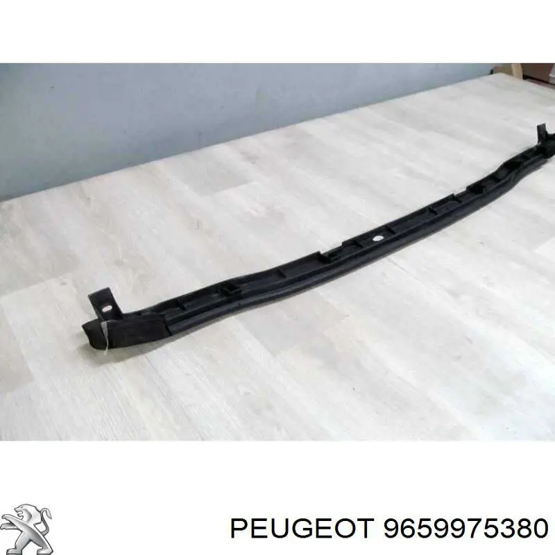 9659975380 Peugeot/Citroen 