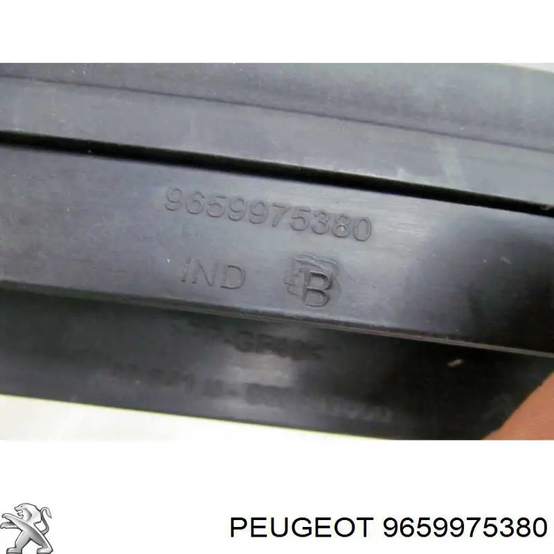  9659975380 Peugeot/Citroen