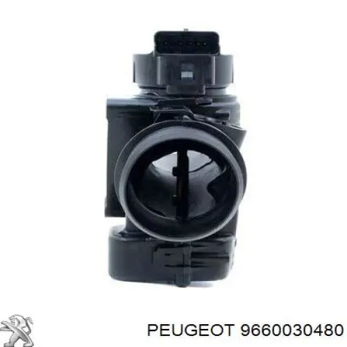 Купити 9660030480 Peugeot/Citroen Дросільна заслінка