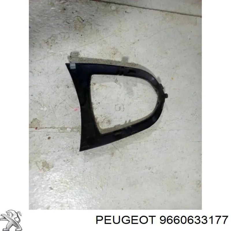  9660633177 Peugeot/Citroen