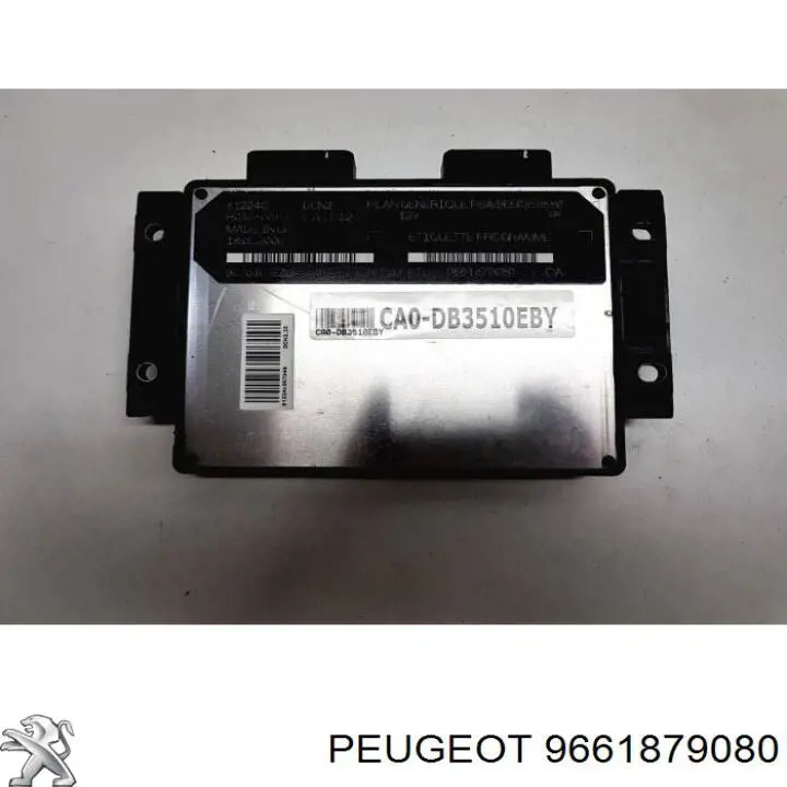 9661879080 Peugeot/Citroen 