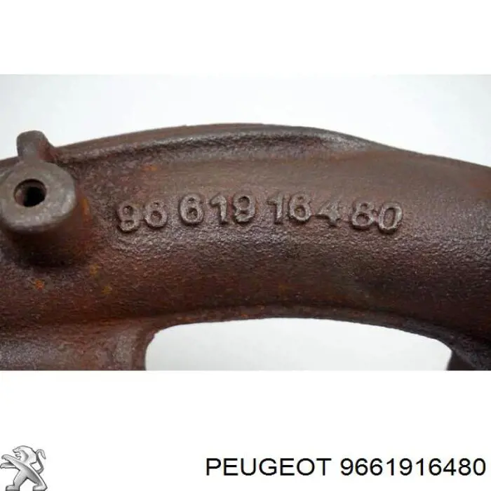 9661916480 Peugeot/Citroen Система випуску газів двигуна