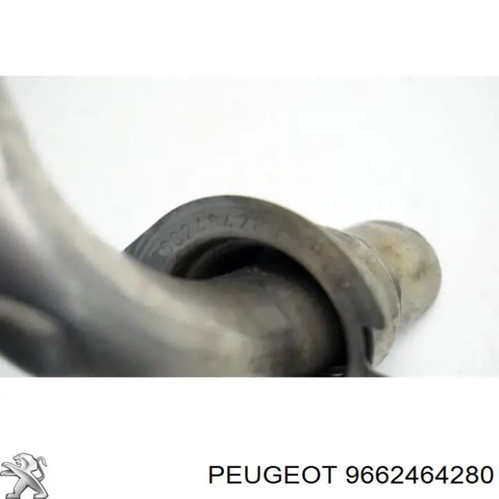 9662464280 Peugeot/Citroen 