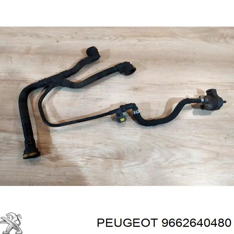 9662640480 Peugeot/Citroen 
