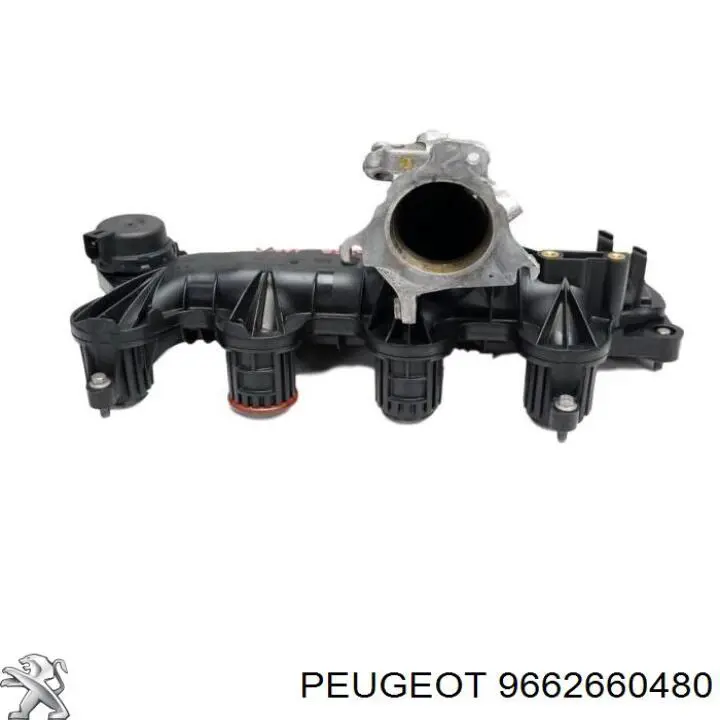 9662660480 Peugeot/Citroen 