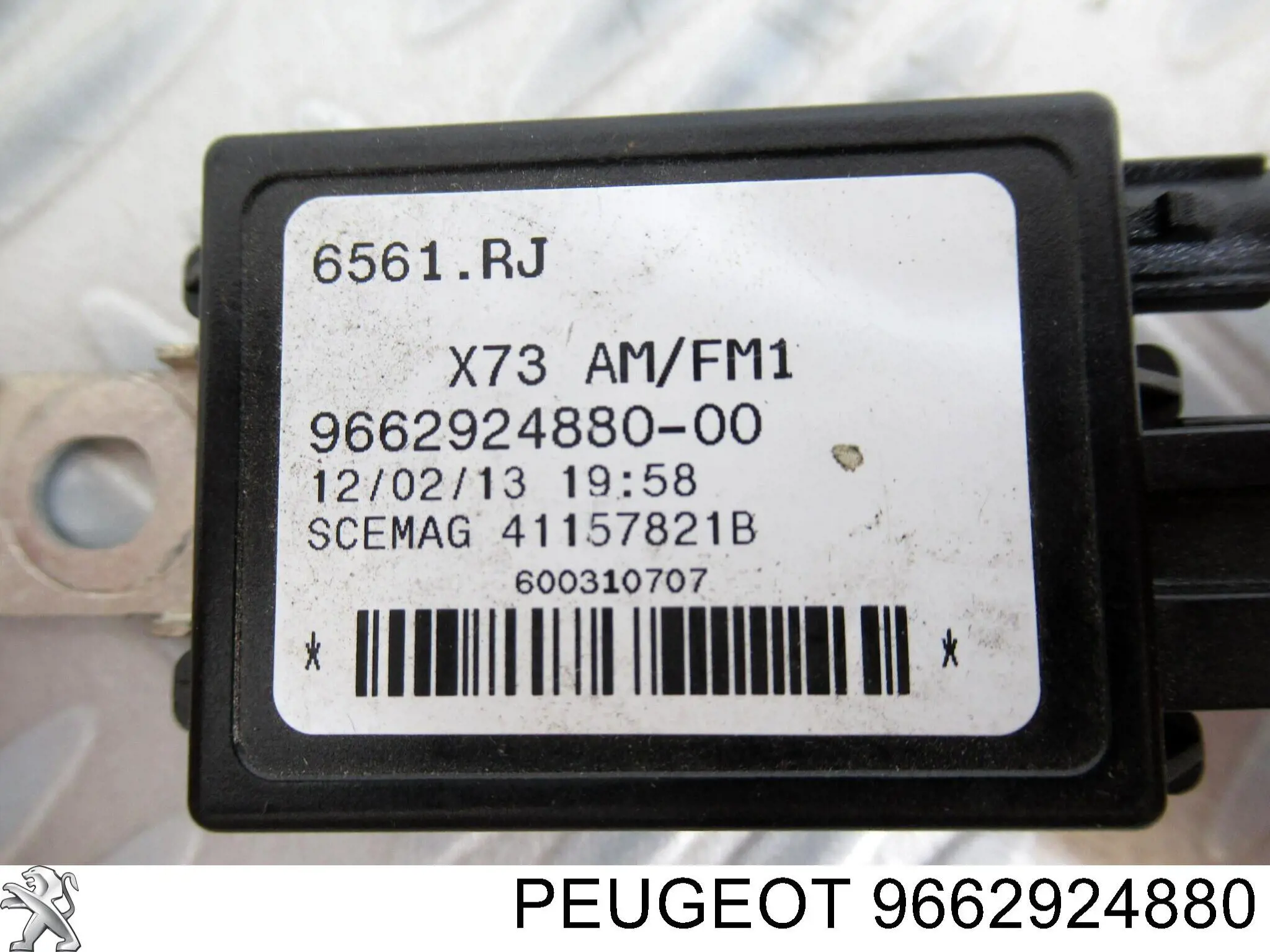  9662924880 Peugeot/Citroen