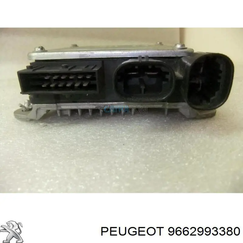 9662993380 Peugeot/Citroen 