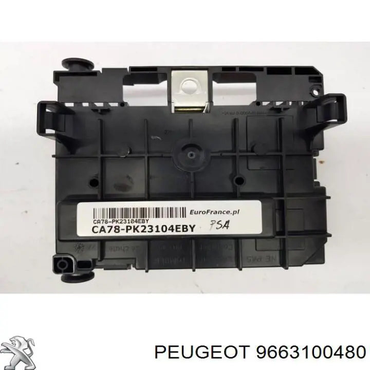 9663100480 Peugeot/Citroen 