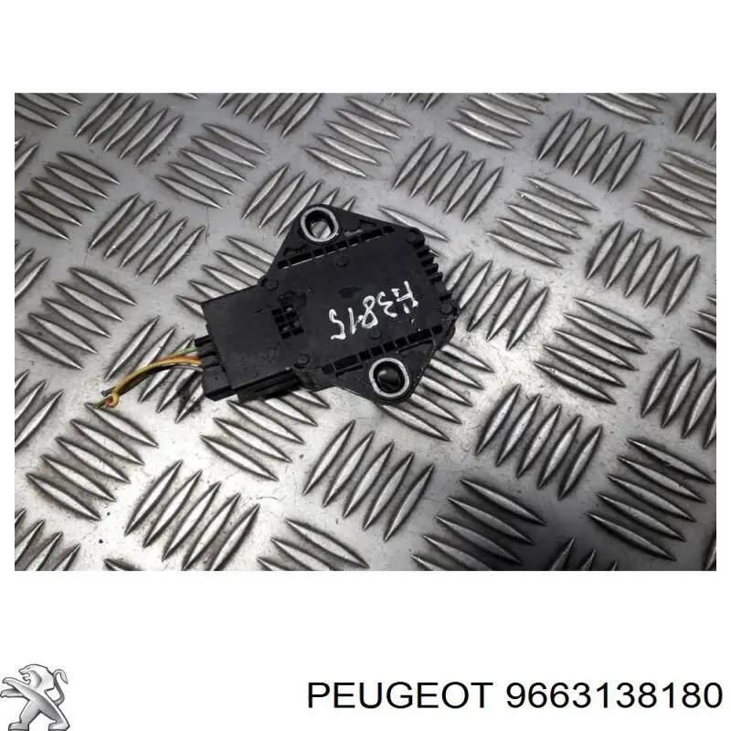 9663138180 Peugeot/Citroen 
