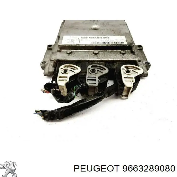  9663289080 Peugeot/Citroen
