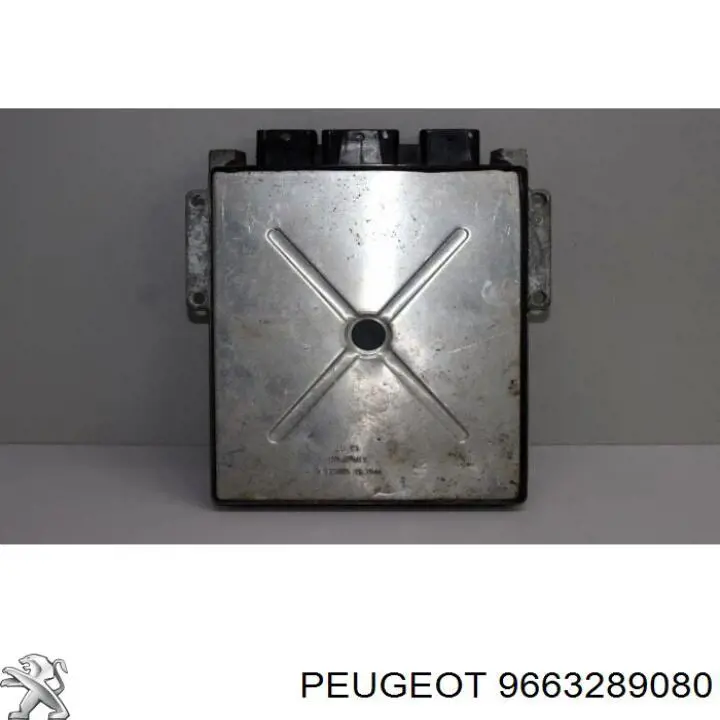 9663289080 Peugeot/Citroen 