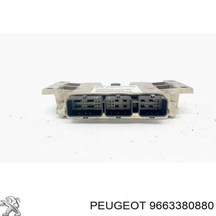  Peugeot/Citroen 9663380880