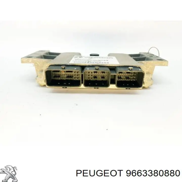 9663380880 Peugeot/Citroen 