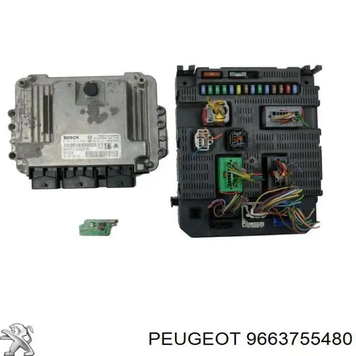 9663755480 Peugeot/Citroen Блок електронного управління