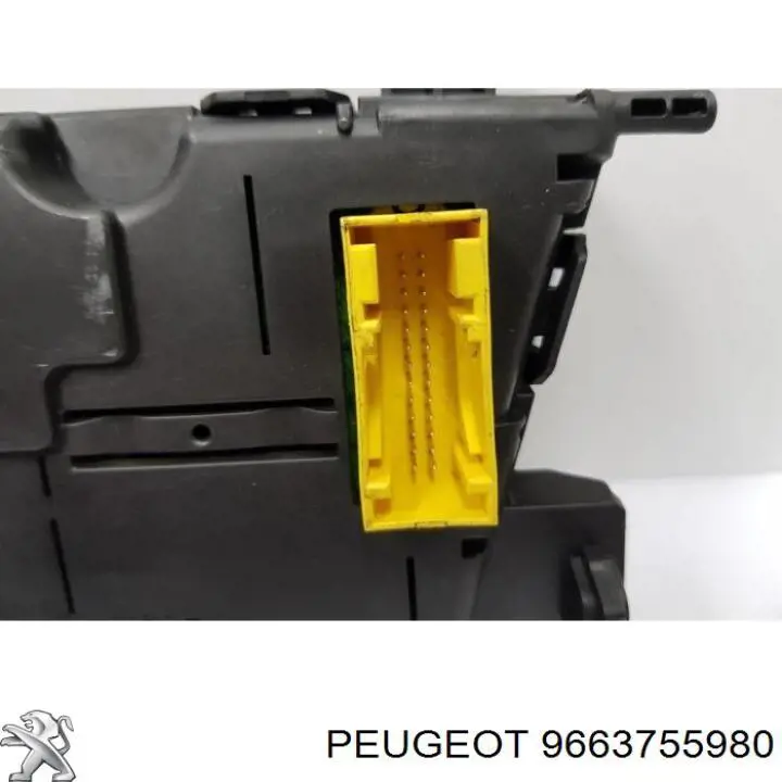  9663755980 Peugeot/Citroen