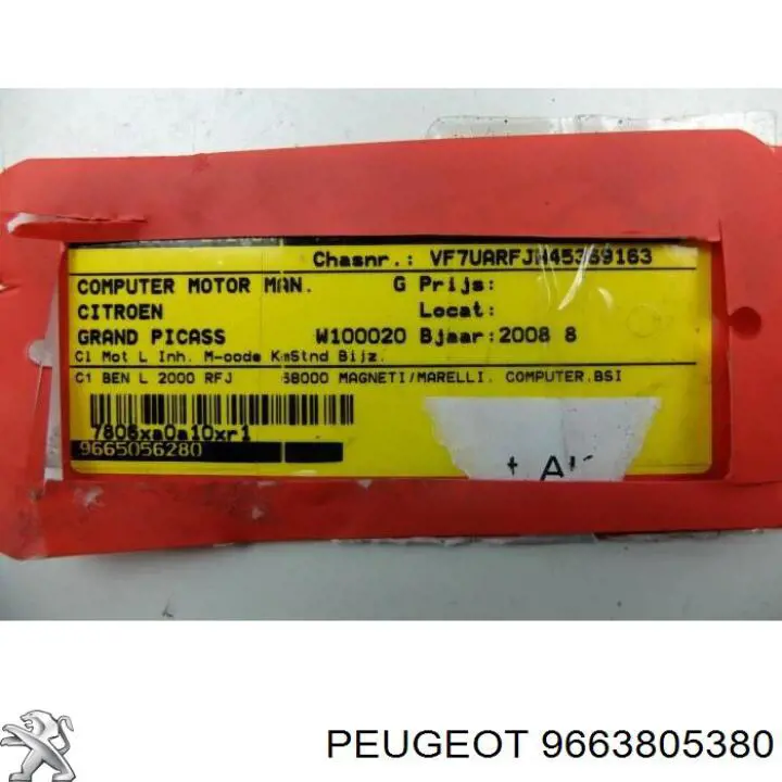 9663805380 Peugeot/Citroen 
