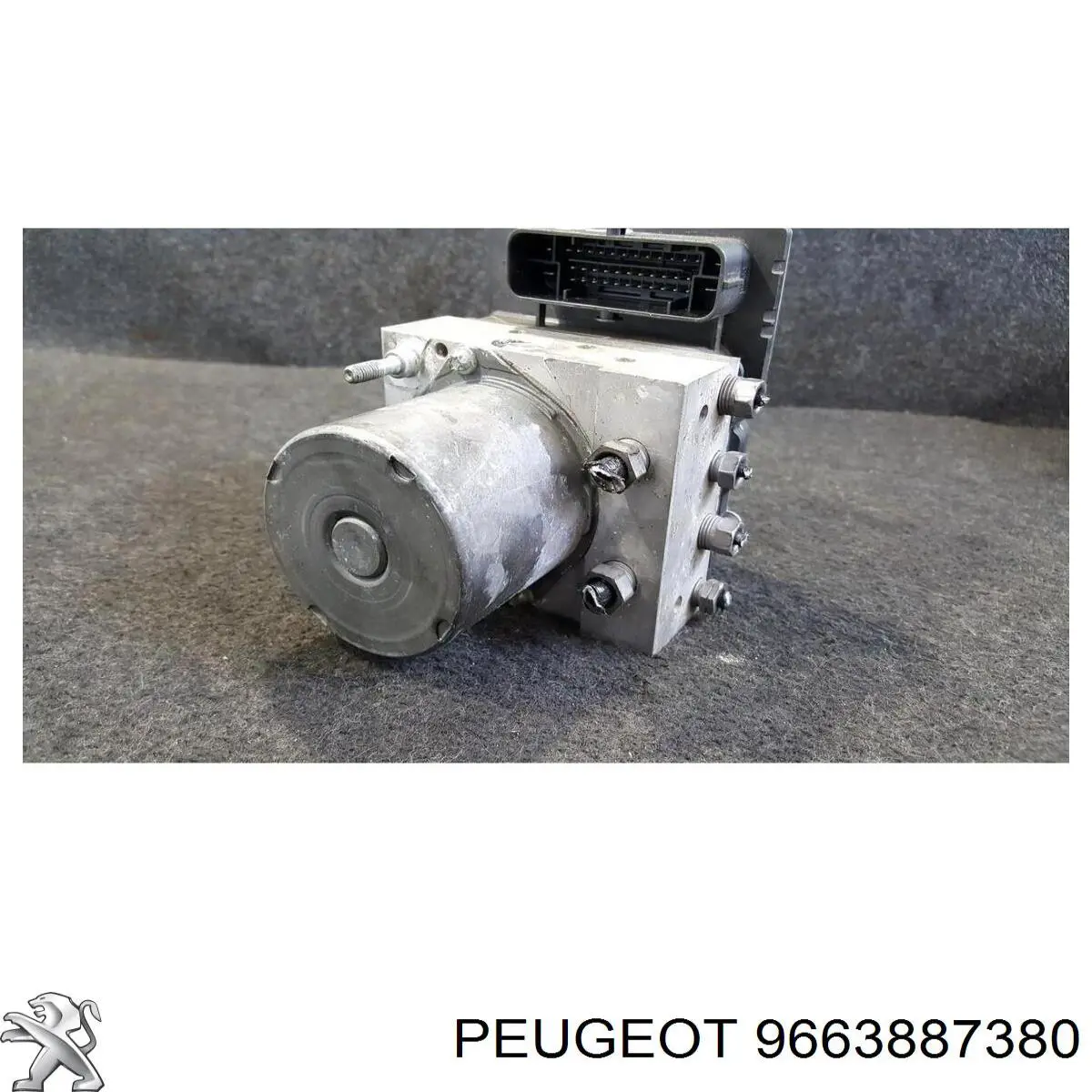 9663887380 Peugeot/Citroen 