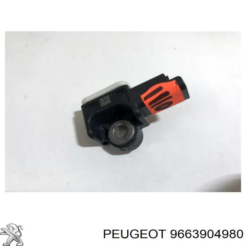 9663904980 Peugeot/Citroen 