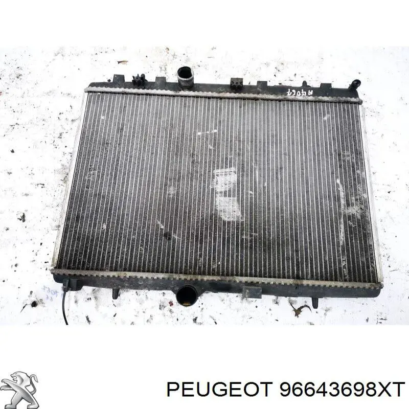  96643698XT Peugeot/Citroen
