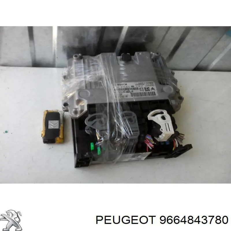 9664843780 Peugeot/Citroen Блок електронного управління
