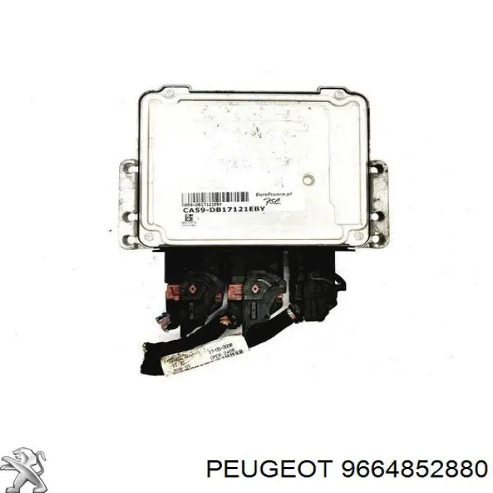 9664852880 Peugeot/Citroen 
