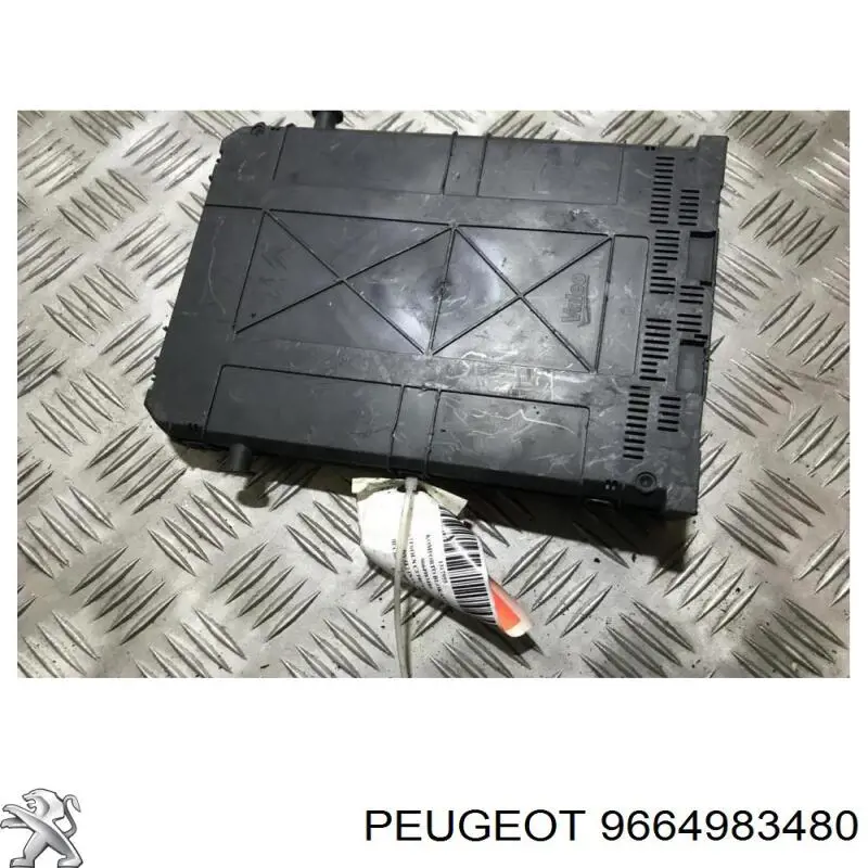 9664983480 Peugeot/Citroen 