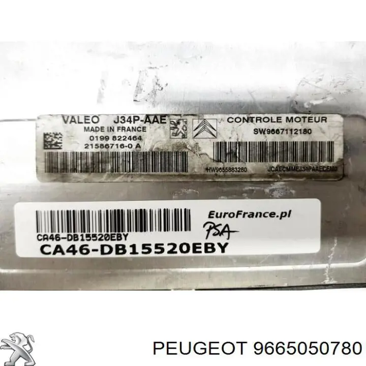9665050780 Peugeot/Citroen 