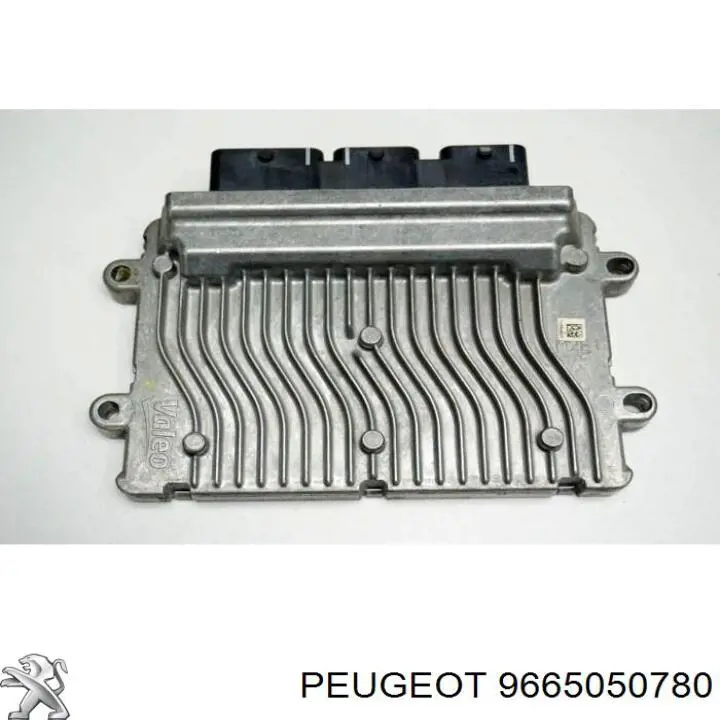 9665050780 Peugeot/Citroen 