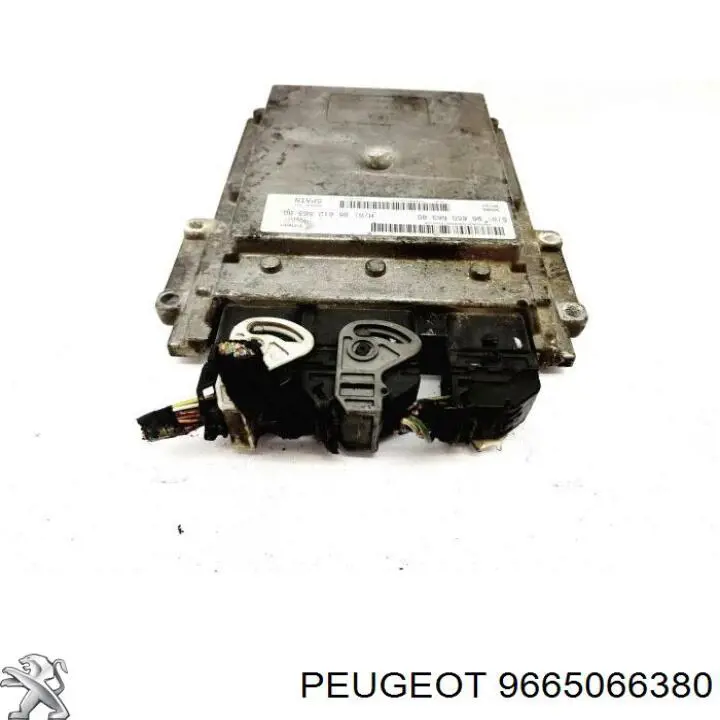  9665066380 Peugeot/Citroen