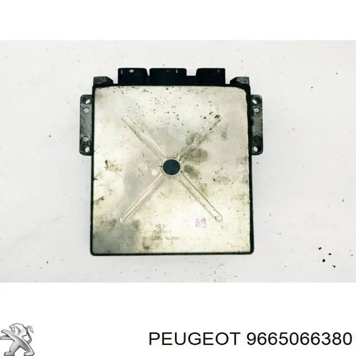 9665066380 Peugeot/Citroen 