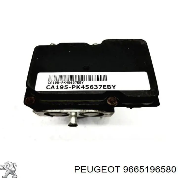 9665196580 Peugeot/Citroen 
