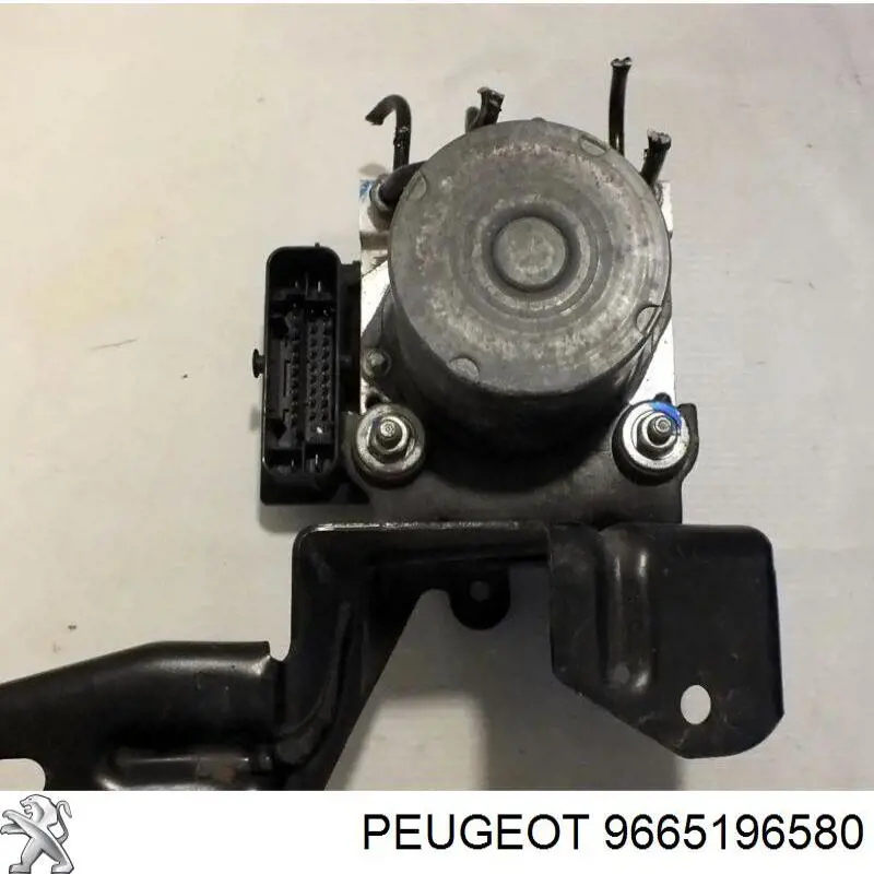 Купити 9665196580 Peugeot/Citroen 