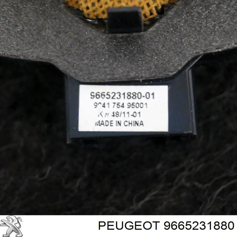  9665231880 Peugeot/Citroen