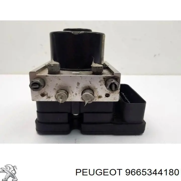 9665344180 Peugeot/Citroen 