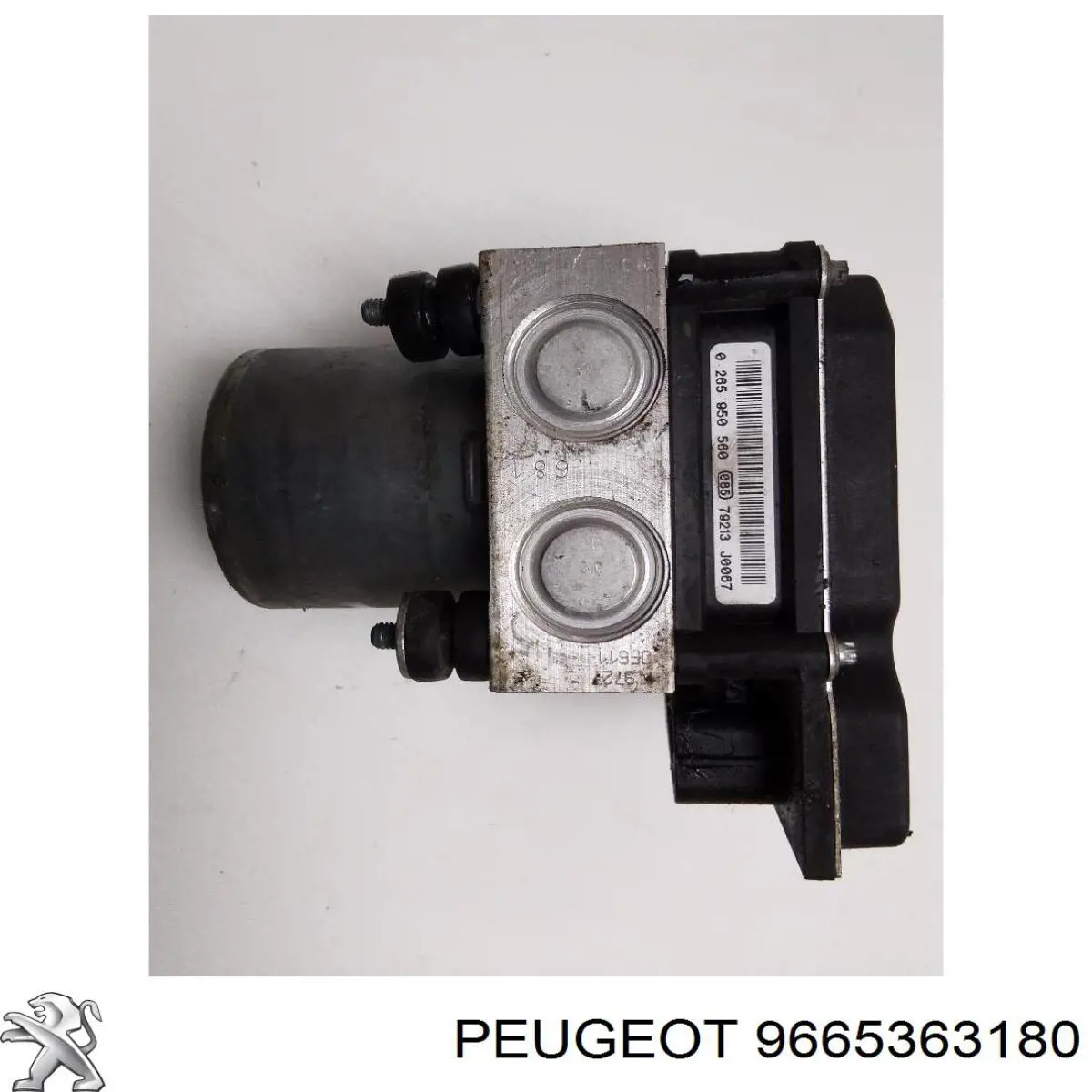 9665363180 Peugeot/Citroen 