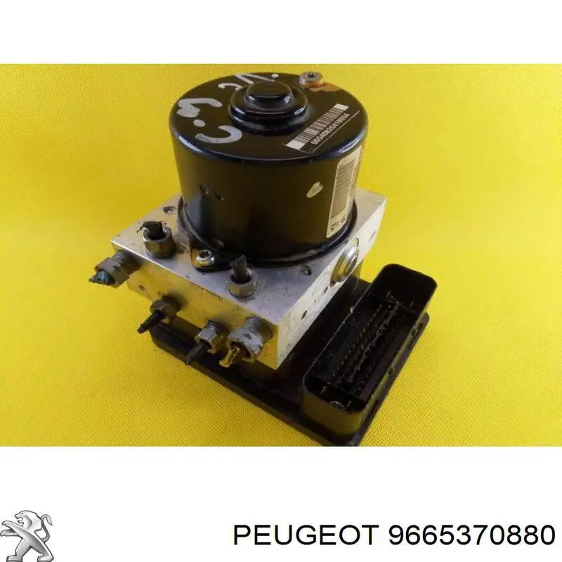 9665370880 Peugeot/Citroen 