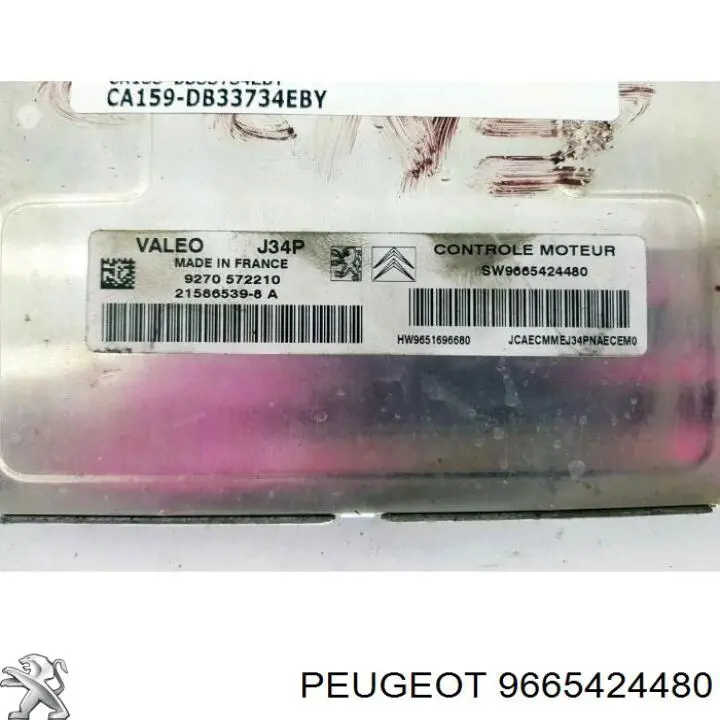 9665424480 Peugeot/Citroen 