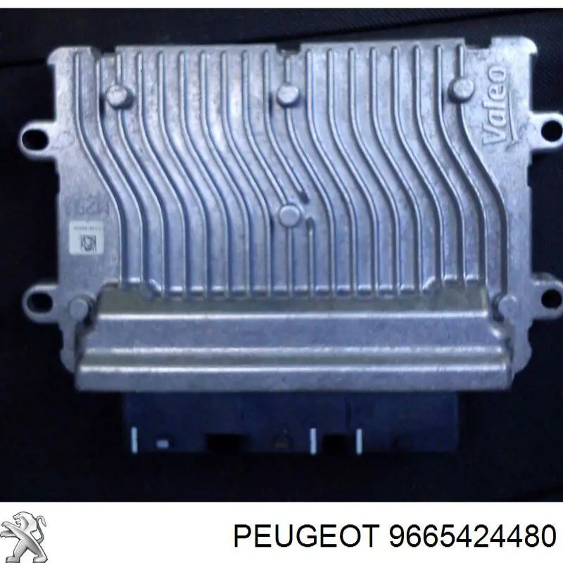 Купити 9665424480 Peugeot/Citroen 